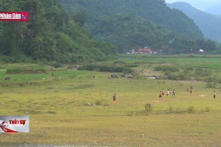 Đổi thay trên mảnh đất khai thác vàng trái phép