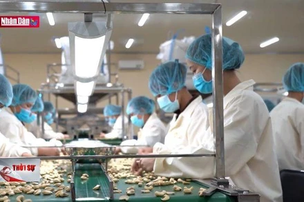 Chủ động phòng ngừa rủi ro trong thương mại quốc tế