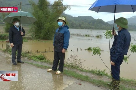 Cần sử dụng nguồn vốn ngân sách Nhà nước hiệu quả
