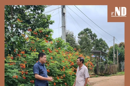 Luôn trăn trở vì quê hương