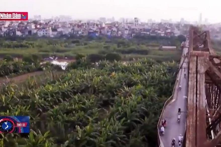 Bảo tồn để nâng tầm giá trị cầu Long Biên