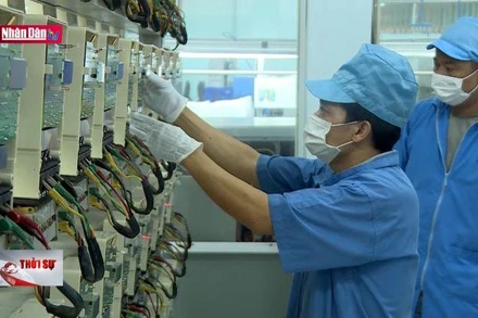 Đồng Euro "tuột dốc" tác động tiêu cực đến xuất khẩu sang châu Âu