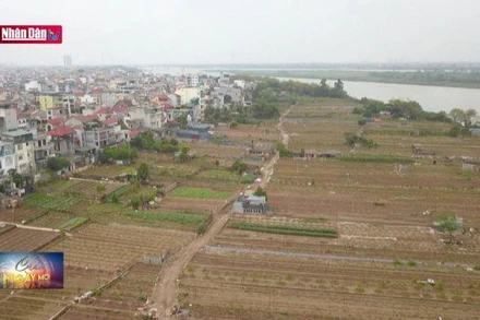 Nghiên cứu đánh thuế chống đầu cơ đất đai