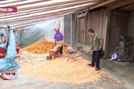 Nhiều xã nông thông mới không đạt chuẩn theo tiêu chí mới