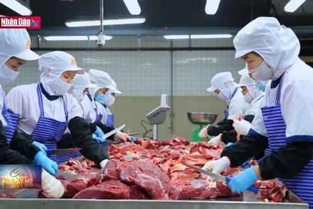 Chuẩn bị hàng thiết yếu dịp cuối năm