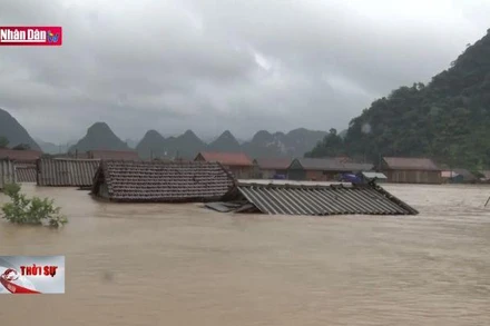 Quảng Bình tìm giải pháp thoát lũ cho vùng Lệ Thủy, Quảng Ninh