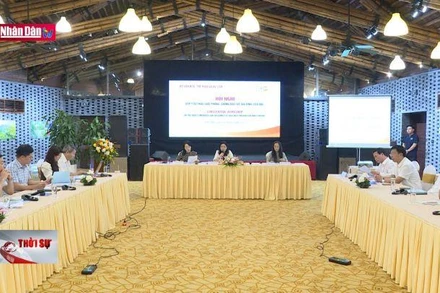 Góp ý Dự thảo Luật Phòng, chống bạo lực gia đình (sửa đổi)