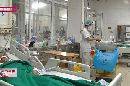 Sốt xuất huyết diễn biến bất thường, gia tăng ca nặng tại miền Bắc