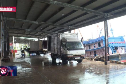 Dầu giảm giá, ngư dân Khánh Hòa phấn khởi vươn khơi