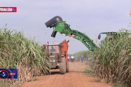 Áp dụng phòng vệ thương mại đối với một số sản phẩm đường mía