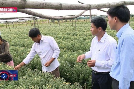 Những người đi đầu ở La Vân Hạ