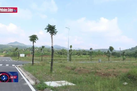 Sau đấu giá nhiều khu đất bỏ hoang