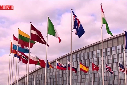 [Video] Pháp - Anh đề xuất ngừng bắn một tháng ở Ukraine