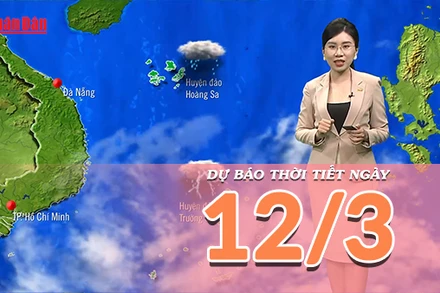 [Video] Dự báo thời tiết ngày 12/3/2023