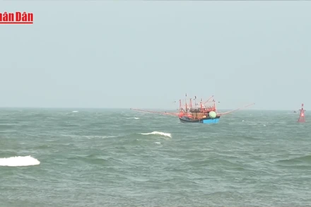 [Video] 5 thuyền viên được cứu sau vụ tàu cá bị chìm, một người mất tích