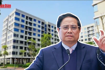 [Video] Thời sự 24h ngày 7/3/2025