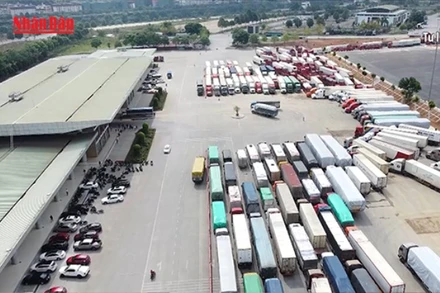 [Video] Xuất khẩu qua cửa khẩu Lào Cai giảm 40%