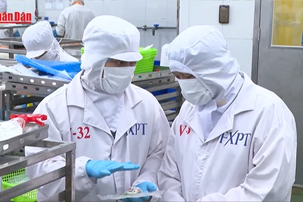 [Video] Thế giới có thêm 170 triệu việc làm trong 5 năm tới