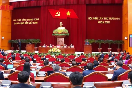 [Video] Danh sách dự kiến tên gọi các tỉnh, thành phố và trung tâm chính trị - hành chính (tỉnh lỵ) của 34 đơn vị hành chính cấp tỉnh 