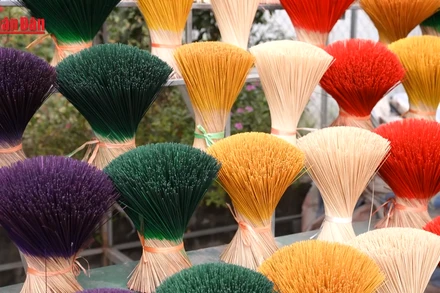 [Video] Ngôi làng "tỏa hương" đất Việt