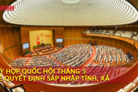 [Video] Thời sự 24h ngày 11/3/2025