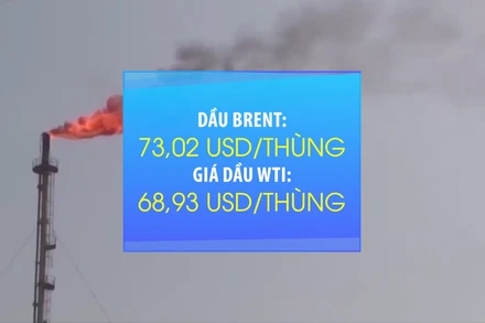 [Video] Giá dầu chạm mức thấp nhất trong 2 tháng