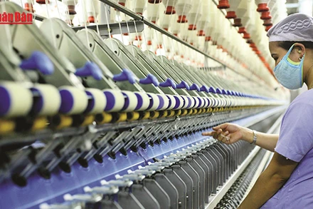 [Video] Doanh nghiệp dệt may chủ động ứng phó trước rủi ro thương mại