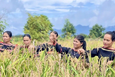 Ảnh minh họa. (Nguồn: Báo Đại đoàn kết)