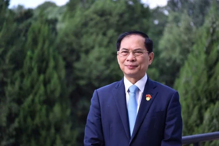 Bộ trưởng Bùi Thanh Sơn. (Ảnh: Bộ Ngoại giao)