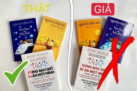 Ảnh minh họa. (Nguồn: VOV)