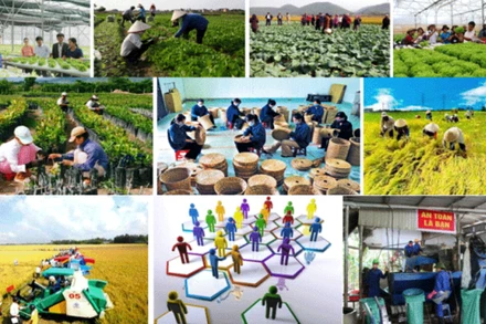 Ảnh minh họa. (Nguồn: Tạp chí Tuyên giáo)