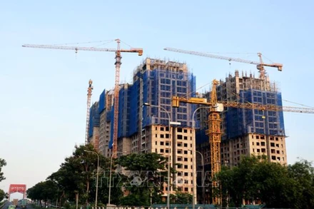 Ảnh minh họa. (Ảnh: TTXVN)