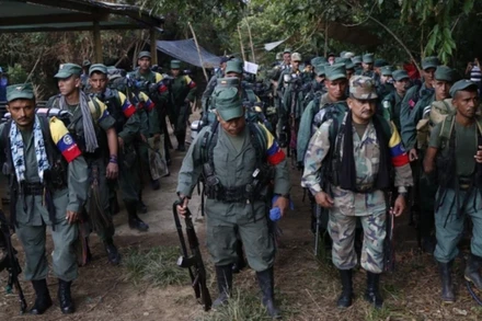 Ảnh minh họa. (Nguồn: Nhóm vũ trang Estado Mayor Central/TTXVN)