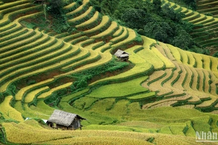 Xây dựng chiến lược tổng thể cho thương hiệu du lịch văn hóa dân tộc thiểu số. 