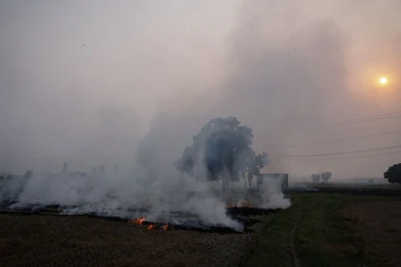 Tình trạng ô nhiễm không khí tại Ấn Độ đang gia tăng do nạn đốt rơm rạ trái phép. (Ảnh: Reuters)