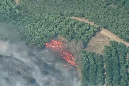 Cháy rừng nghiêm trọng tại Mỹ, hàng nghìn cư dân phải sơ tán