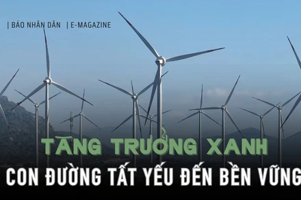 Tăng trưởng xanh - Con đường tất yếu đến bền vững