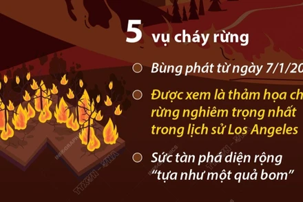 [Infographic] Cháy rừng tại Mỹ: Thiệt hại ước tính gần 150 tỷ USD