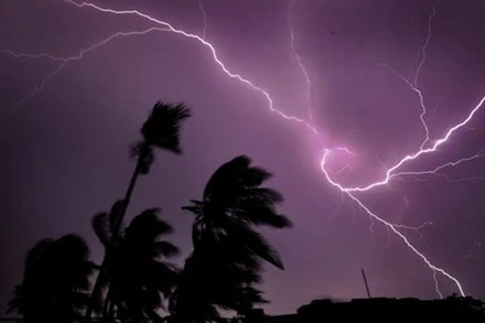 (Nguồn: The Guardian)