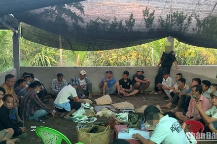 Các đối tượng tổ chức đánh bạc bị lực lượng Công an bắt quả tang tại ấp 3B, xã Hựu Thạnh, huyện Đức Hòa, tỉnh Long An.