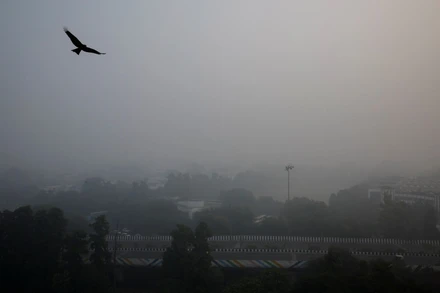 Trước tình trạng ô nhiễm không khí ngày càng nghiêm trọng tại Delhi, Chính phủ Ấn Độ đã quyết định cấm toàn bộ các công trình xây dựng không cần thiết; đồng thời kêu gọi người dân tránh đốt than để sưởi ấm. (Ảnh: Reuters)