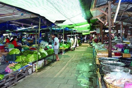 Ảnh minh họa: Báo Pasaxon.