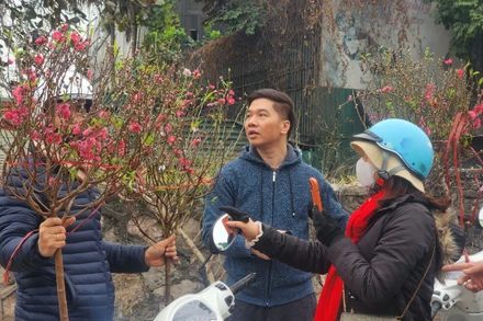 [Ảnh] Chợ hoa lớn nhất Hà Nội nhộn nhịp ngày 29 Tết