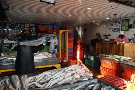 Central de Abasto được xây dựng theo cấu trúc lục giác, chia thành nhiều phân khu kinh doanh các mặt hàng chuyên biệt như rau, hoa quả, các loại củ, thịt tươi, thịt chế biến sẵn và thủy hải sản. 