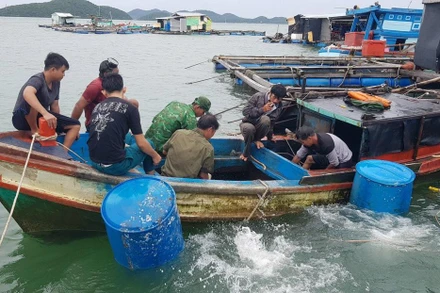 Tàu đánh cá của ông Hà Văn Luông được lực lượng chức năng trục vớt.