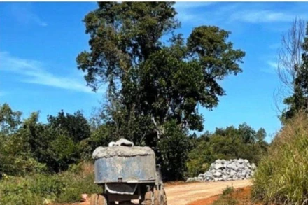 Bài viết không đúng tôn chỉ, mục đích, có nội dung sai sự thật bị xử phạt.