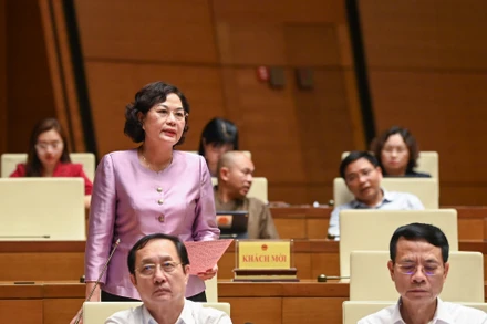 Thống đốc Ngân hàng Nhà nước Nguyễn Thị Hồng tại phiên họp chiều 25/5. (Ảnh: DUY LINH).