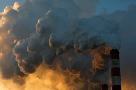 Thị trường carbon hình thành trên thế giới như thế nào?