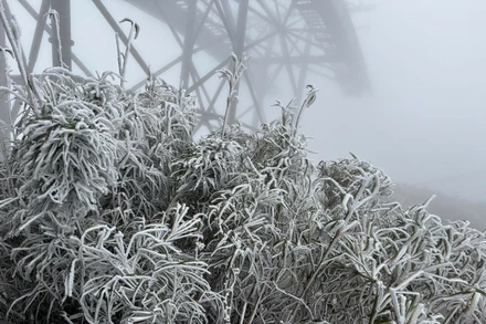 Tuyết bất ngờ rơi trên nóc nhà Đông Dương chiều 27 Tết