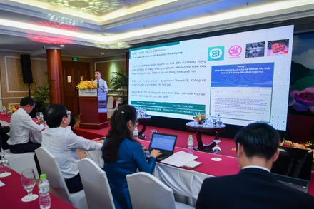 Quang cảnh phiên thảo luận Bảo vệ bản quyền báo chí trong kỷ nguyên số.